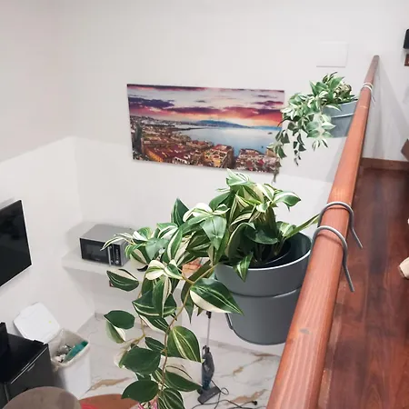 San Ciro's Apartment *